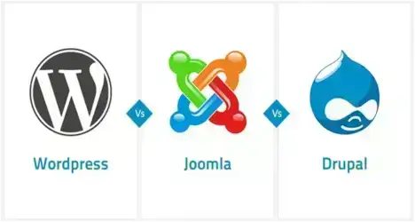 Importance Of Backlinks