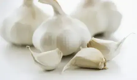 GarlicHerb