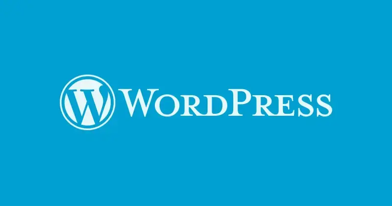 optimize website via functions.php file